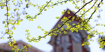 304am永利集团·(中国)有限公司官网