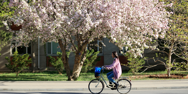 304am永利集团·(中国)有限公司官网