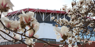 304am永利集团·(中国)有限公司官网