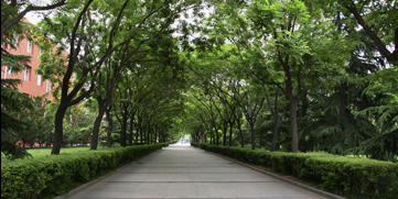 304am永利集团·(中国)有限公司官网