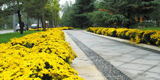 304am永利集团·(中国)有限公司官网