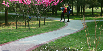 304am永利集团·(中国)有限公司官网