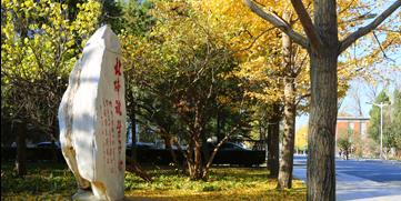 304am永利集团·(中国)有限公司官网