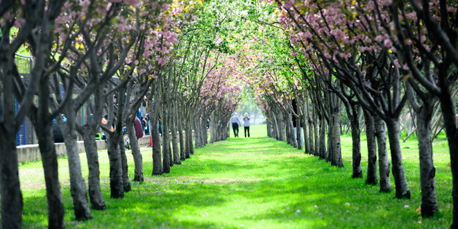 304am永利集团·(中国)有限公司官网