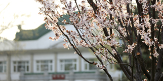 304am永利集团·(中国)有限公司官网