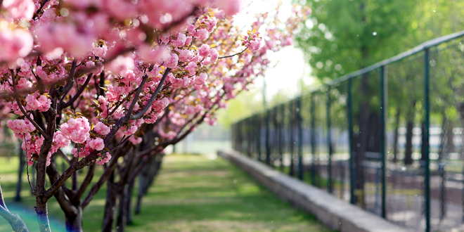 304am永利集团·(中国)有限公司官网