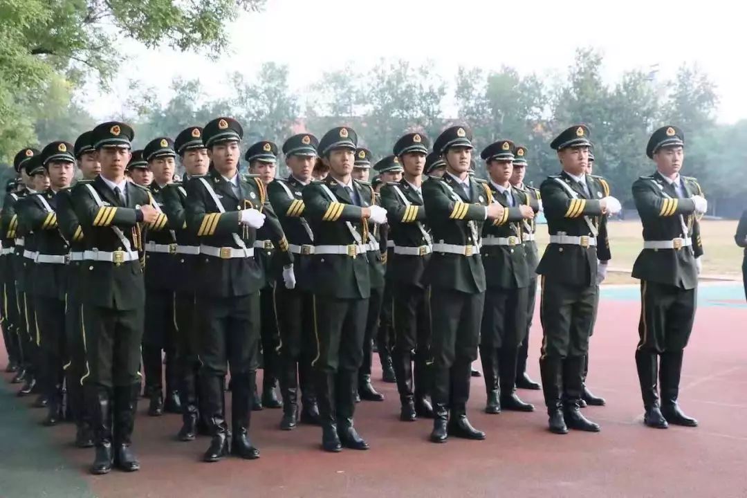 51ae5b90eced466caf8c471c6f198ee7