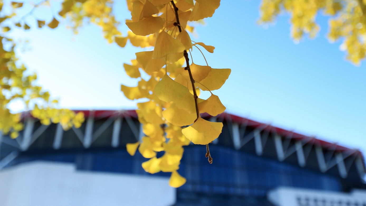 304am永利集团·(中国)有限公司官网