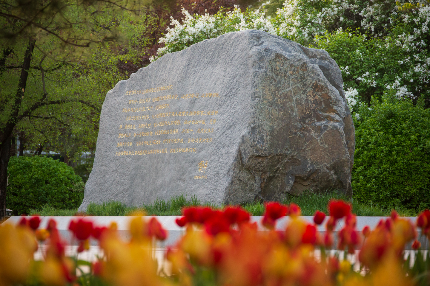 304am永利集团·(中国)有限公司官网