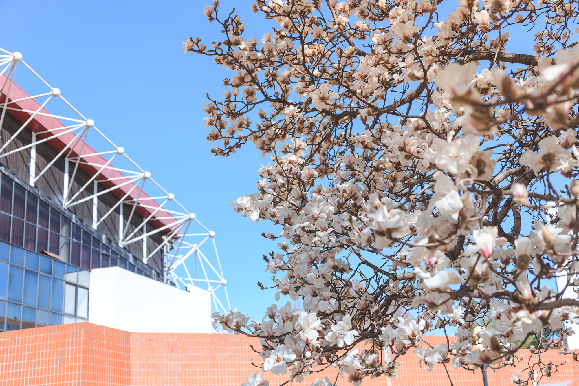 304am永利集团·(中国)有限公司官网