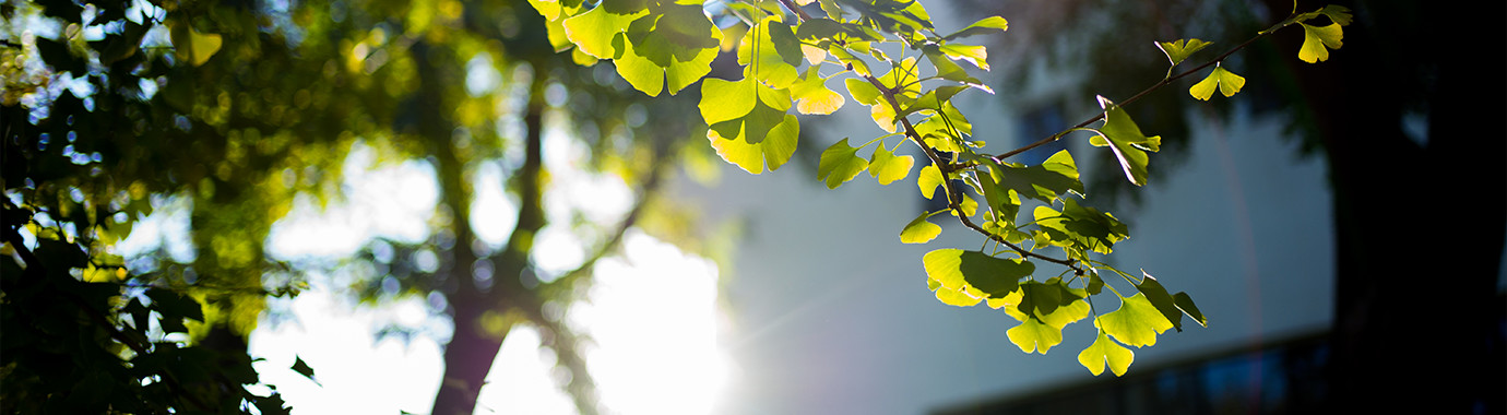 304am永利集团·(中国)有限公司官网